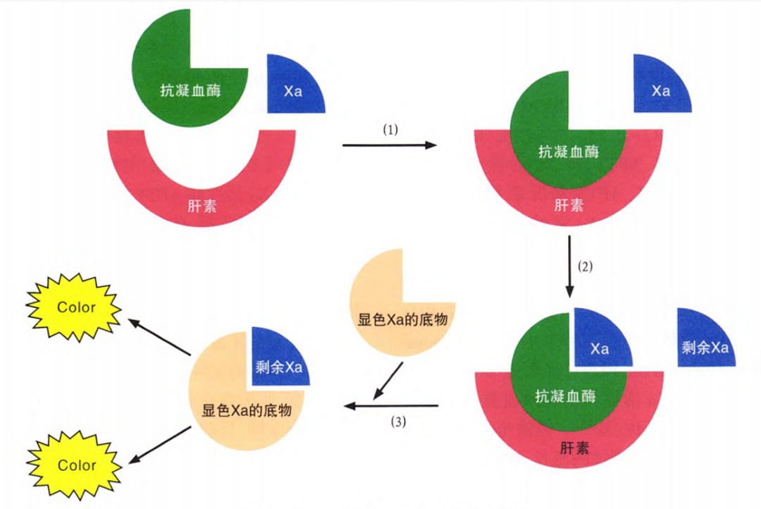 國產(chǎn)抗Xa質(zhì)量如何？多中心臨床研究來告訴你！